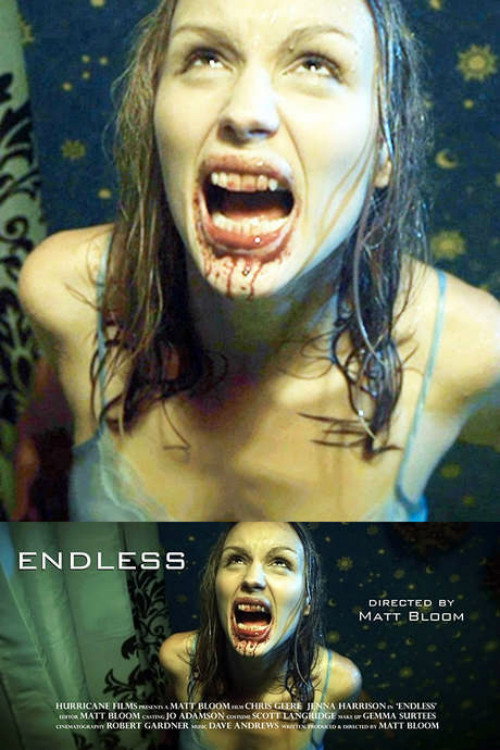 Movie poster for Endless (2011)