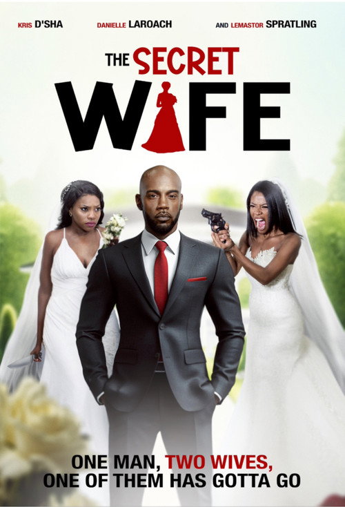 Movie poster for The Secret Wife