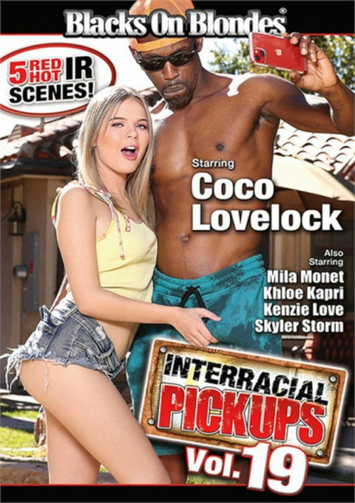 Movie poster for Interracial Pickups 19 (2023)