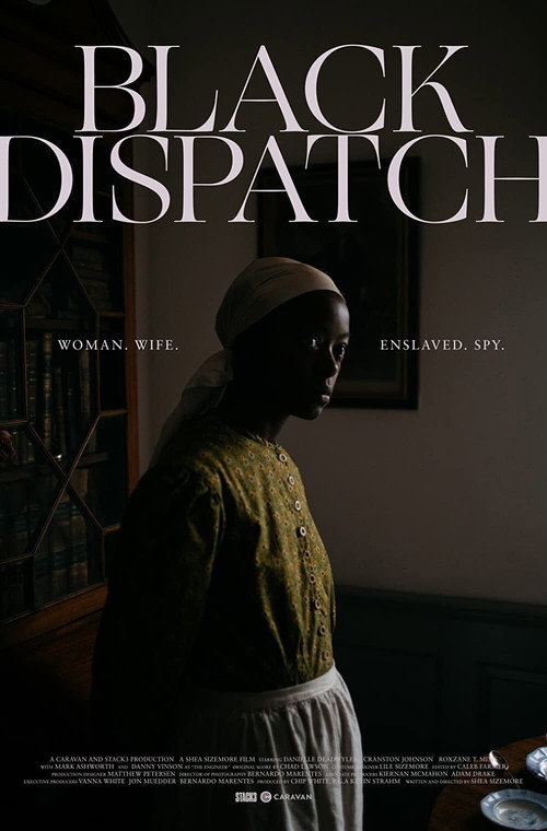 Movie poster for Black Dispatch (2019)