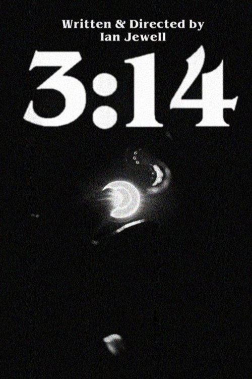 Movie poster for 3:14 (2019)