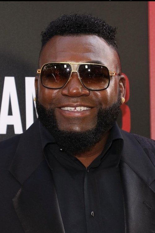 David Ortiz profile