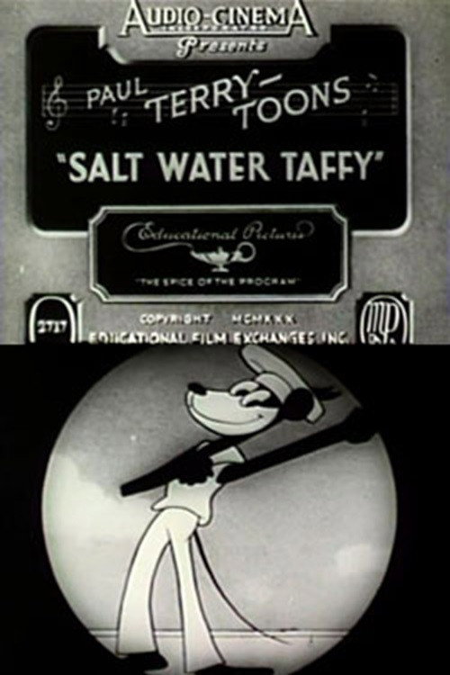 Movie poster for Salt Water Taffy (1930)