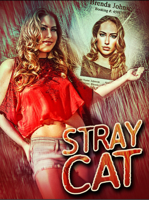 Movie poster for Stray Cat (2023)