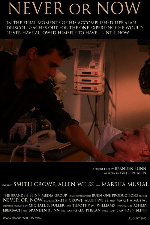 Movie poster for Never or Now (2013)