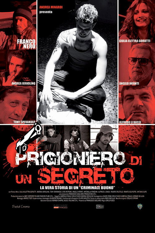 Movie poster for Prigioniero di un segreto (2010)