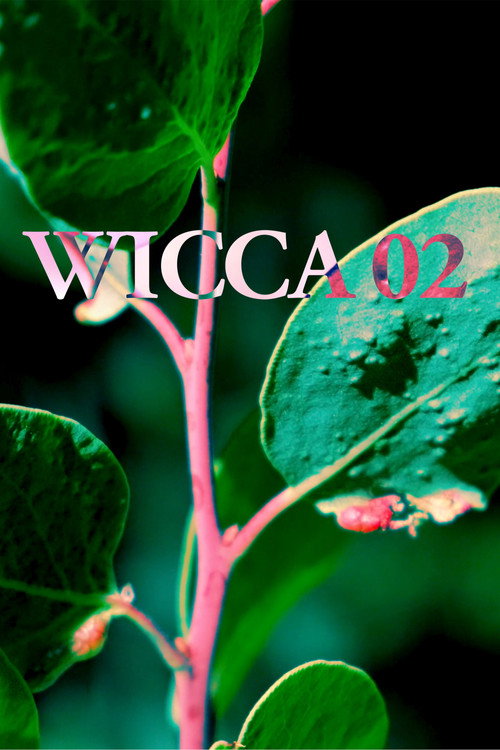 Movie poster for WICCA_02 (2018)