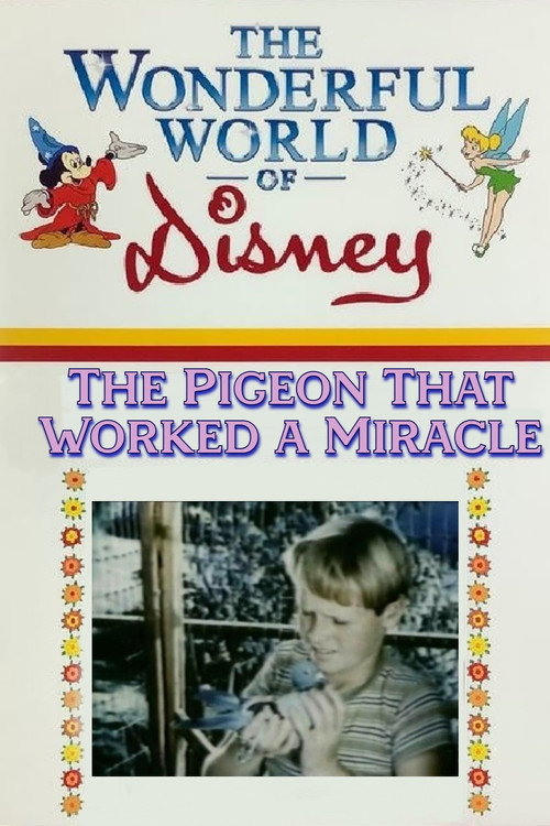 Movie poster for The Pigeon That Worked a Miracle (1958)