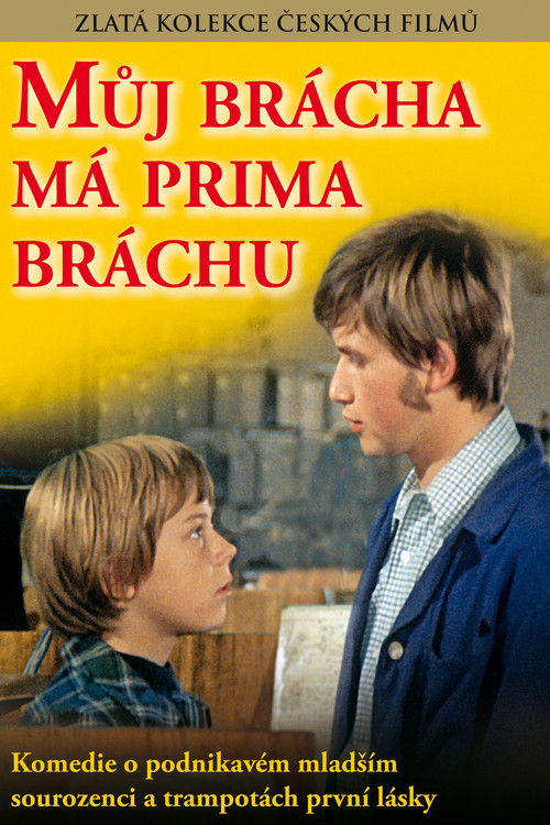 Movie poster for My Brother Has a Cute Brother (1975)