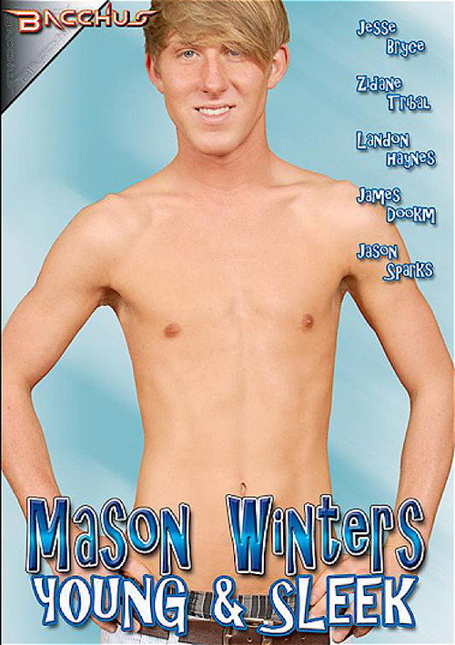 Movie poster for Mason Winters Young & Sleek (2010)