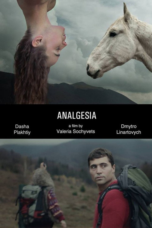 Movie poster for Analgesia (2014)