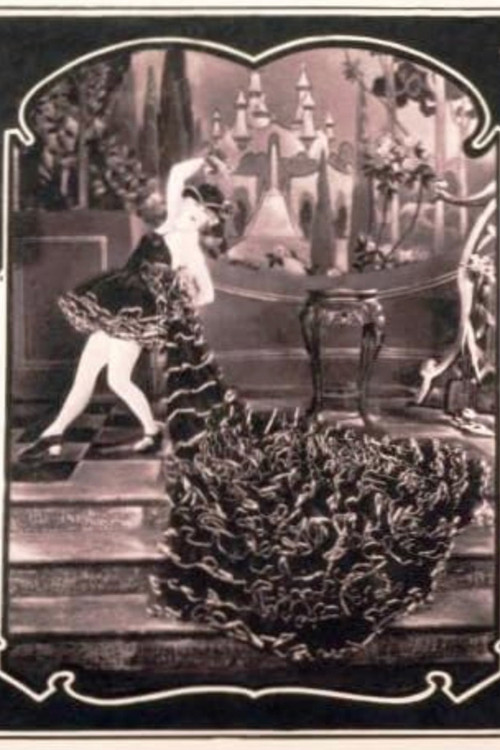 Movie poster for The Star Dust Trail (1924)
