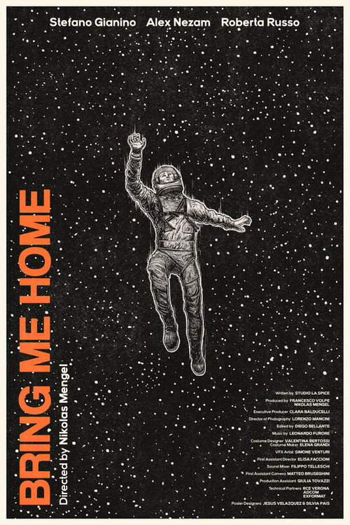 Movie poster for Bring Me Home (2020)