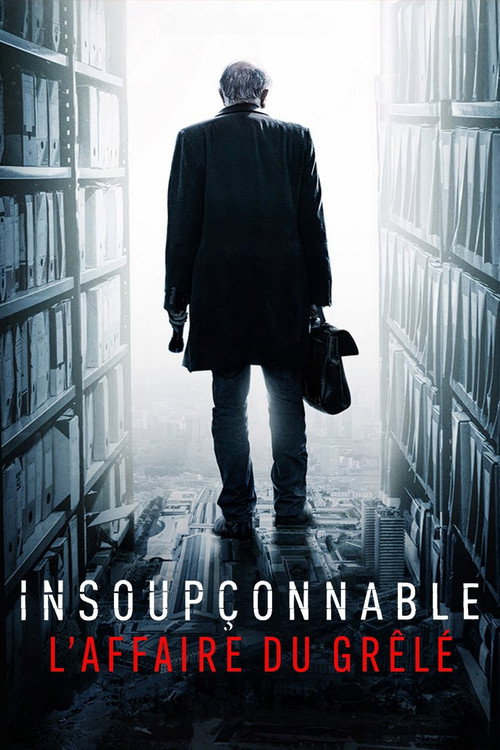 Series poster for Insoupçonnable, l'affaire du Grêlé (2024)
