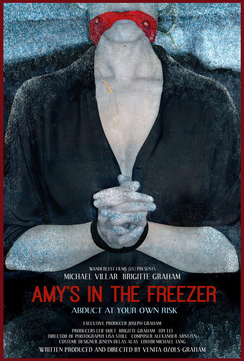 Movie poster for Amy's in the Freezer (2018)