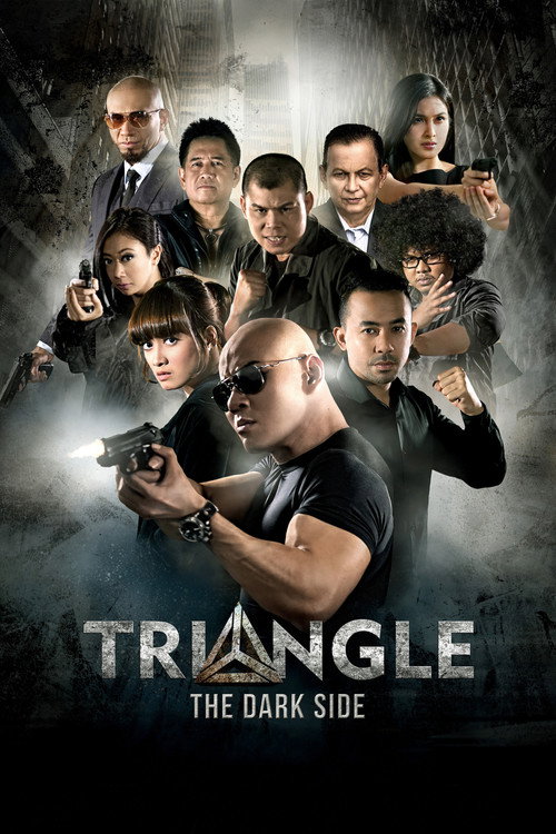 Movie poster for Triangle: The Dark Side (2016)