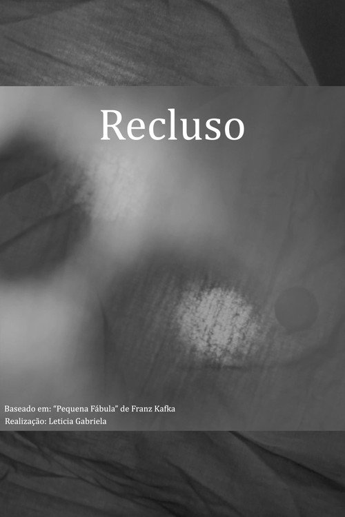 Movie poster for Recluso (2019)