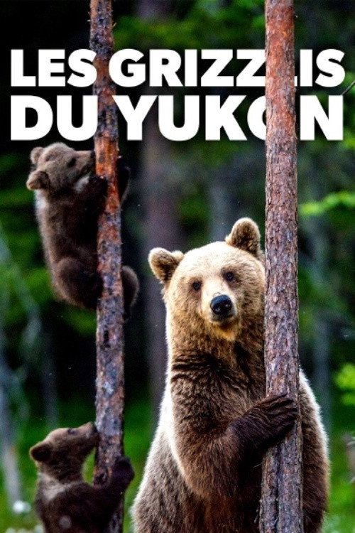 Movie poster for Les grizzlis du Yukon (2021)
