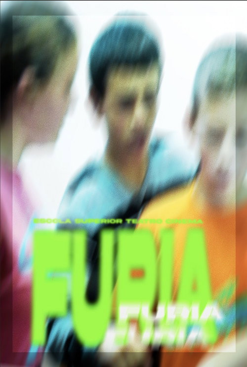Movie poster for Fúria (2013)