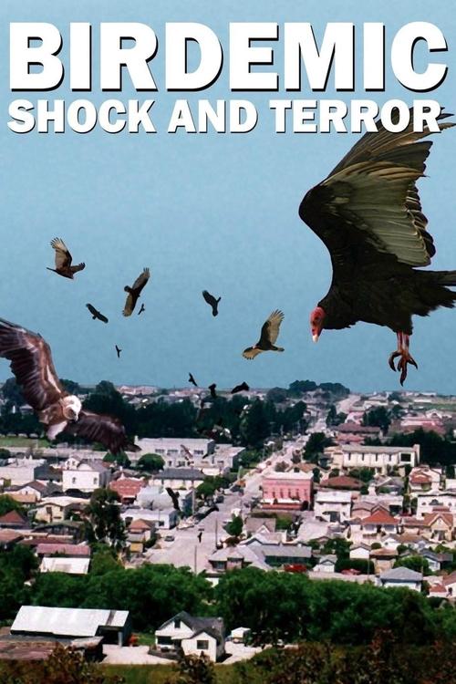 Movie poster for Birdemic: Shock and Terror (2010)