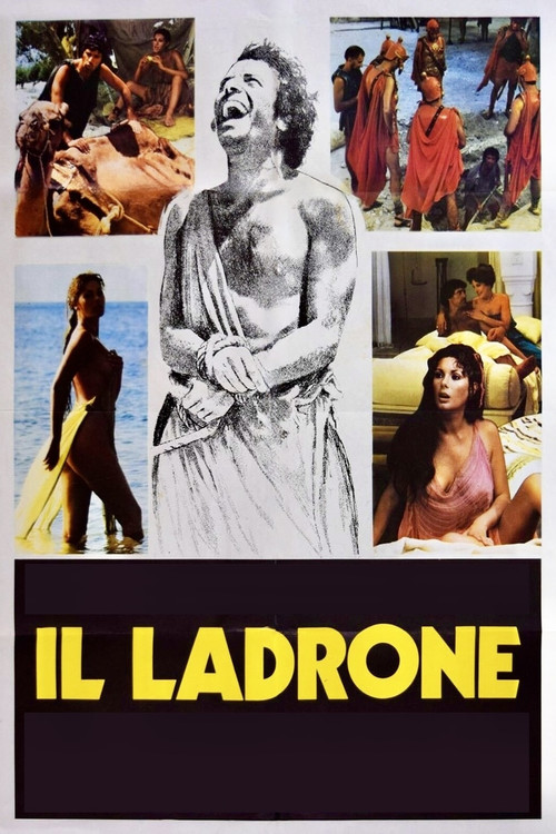 Movie poster for The Good Thief (1980)