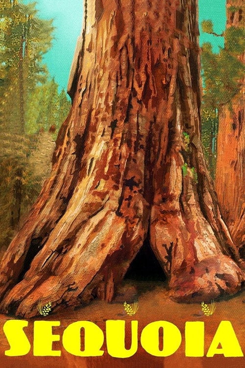 Movie poster for Sequoia (2014)
