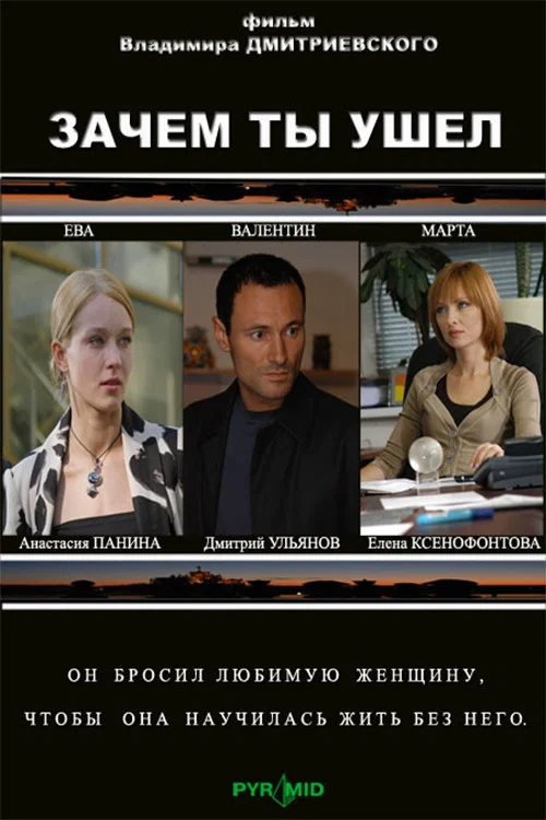 Movie poster for Why did you leave? (2008)