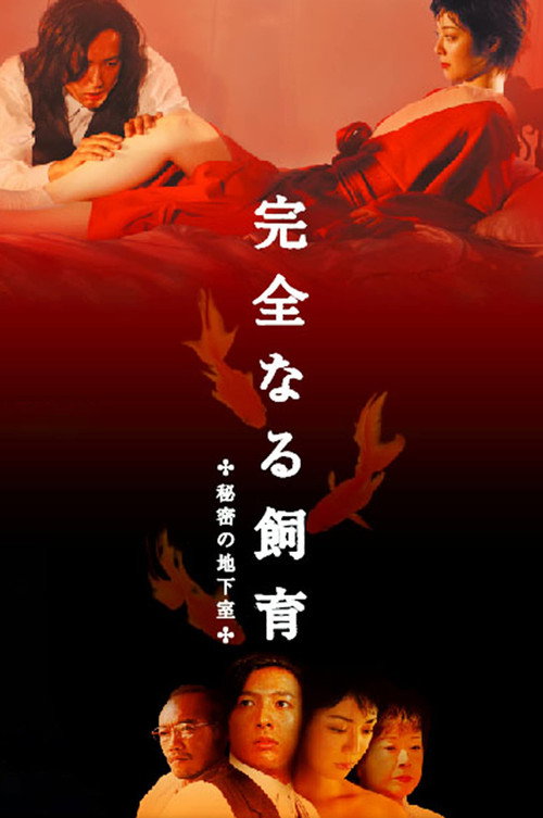 Movie poster for Perfect Education 4: Secret Basement (2003)
