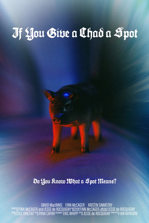 Movie poster for If You Give a Chad a Spot (2025)