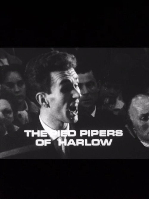 Movie poster for The Pied Pipers of Harlow (1965)
