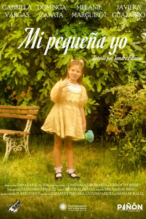 Movie poster for My little me