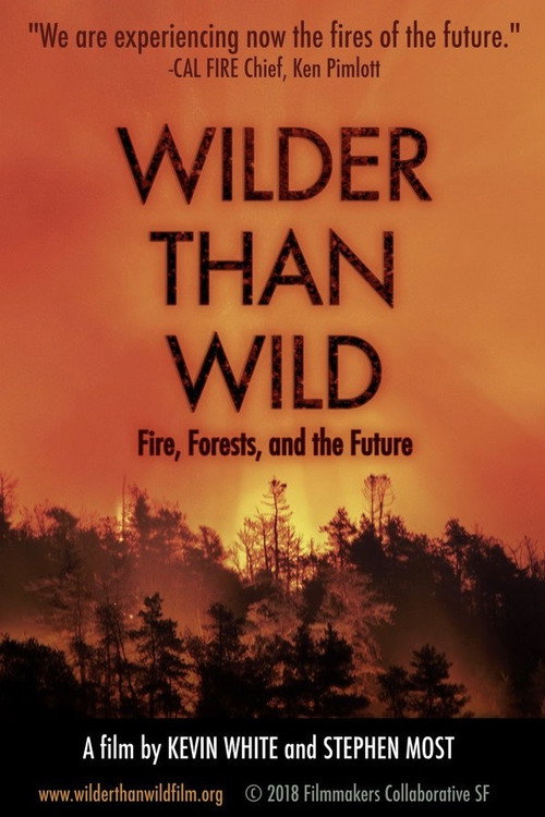 Movie poster for Wilder than Wild: Fire, Forests, and the Future (2018)