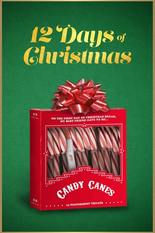 Movie poster for 12 Days of Christmas (2020)
