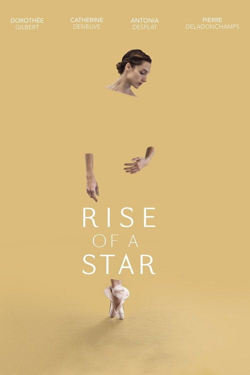 Movie poster for Rise of a Star (2017)