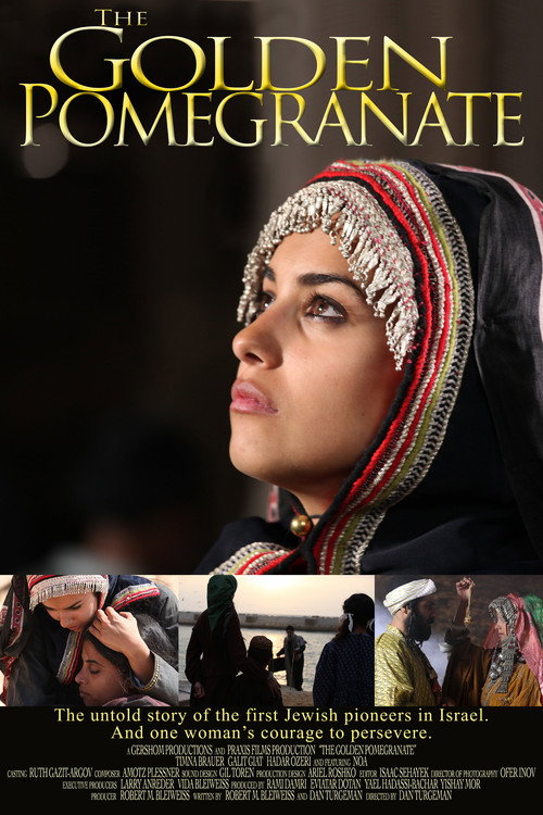 Movie poster for The Golden Pomegranate (2010)