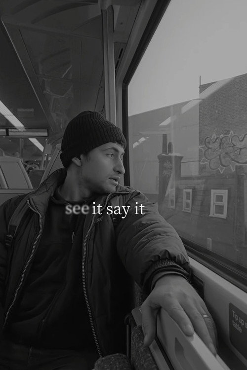 Movie poster for See It Say It (2024)