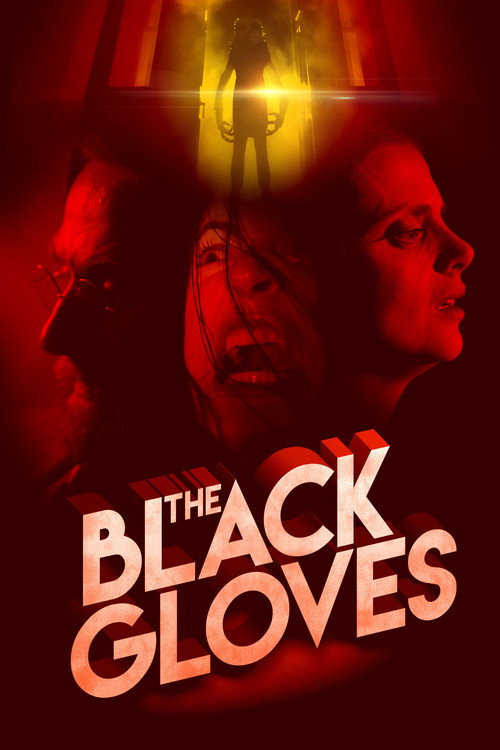 Movie poster for The Black Gloves (2017)