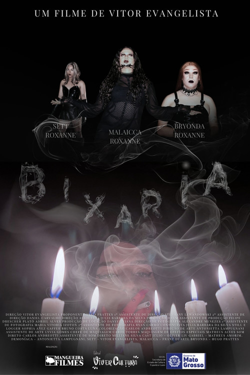 Movie poster for BIXARIA