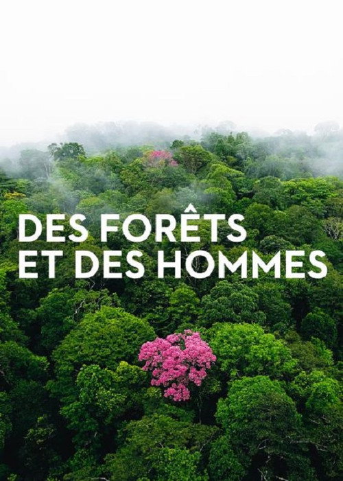 Movie poster for Forests and People (2011)