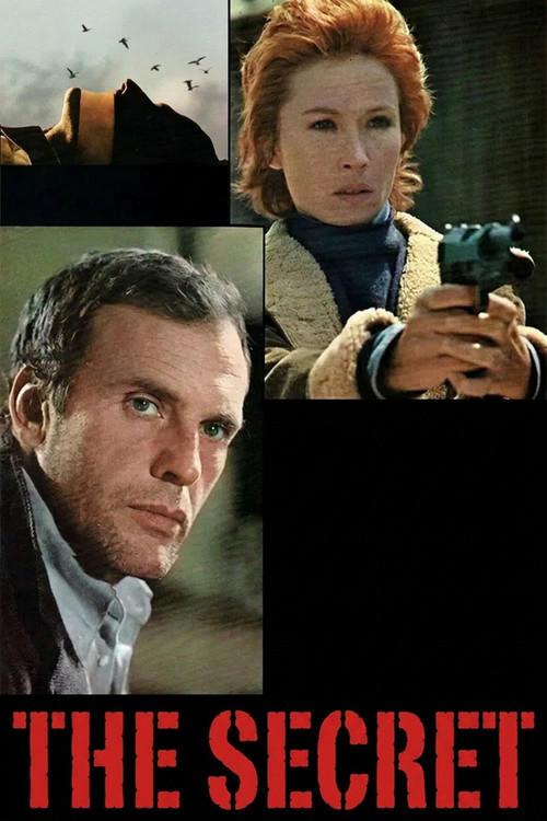 Movie poster for The Secret (1974)