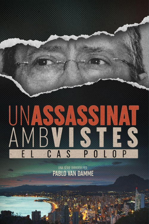 Series poster for Un assassinat amb vistes (2025)