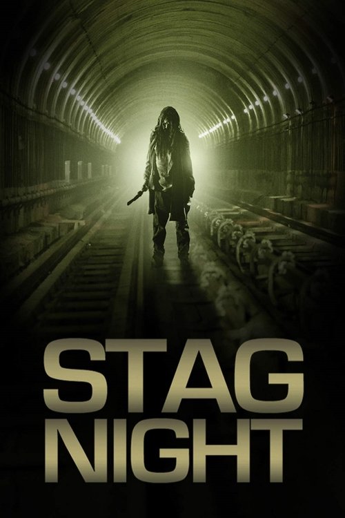 Movie poster for Stag Night (2008)