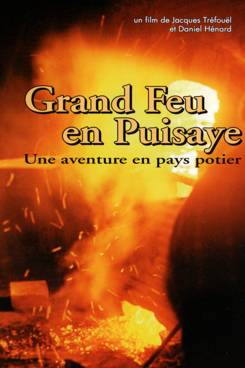Movie poster for Grand Feu en Puisaye (2004)