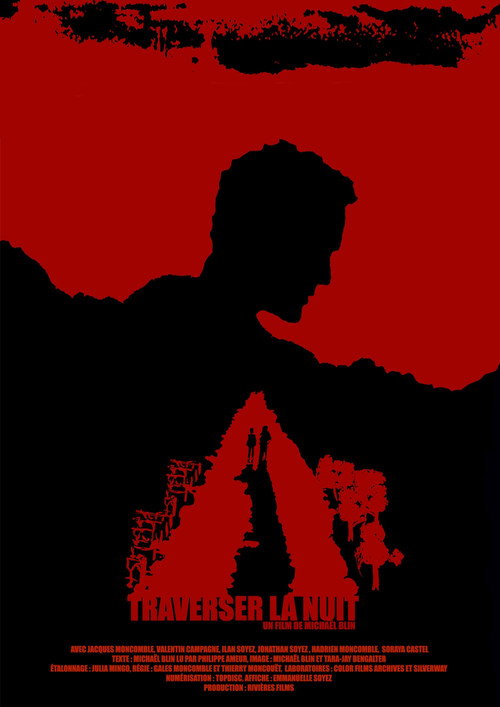 Movie poster for Cross the Night (2024)