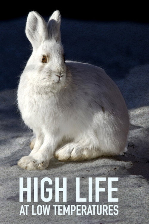 Movie poster for High Life at Low Temperatures (2017)