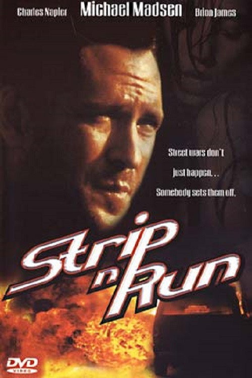 Movie poster for The Thief & the Stripper (2002)