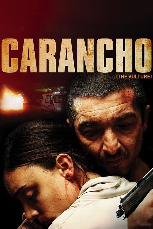 Movie poster for Carancho (2010)