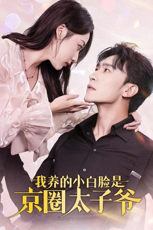 我养的小白脸是京圈太子爷 poster