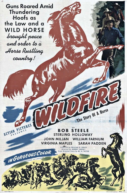 Movie poster for Wildfire (1945)