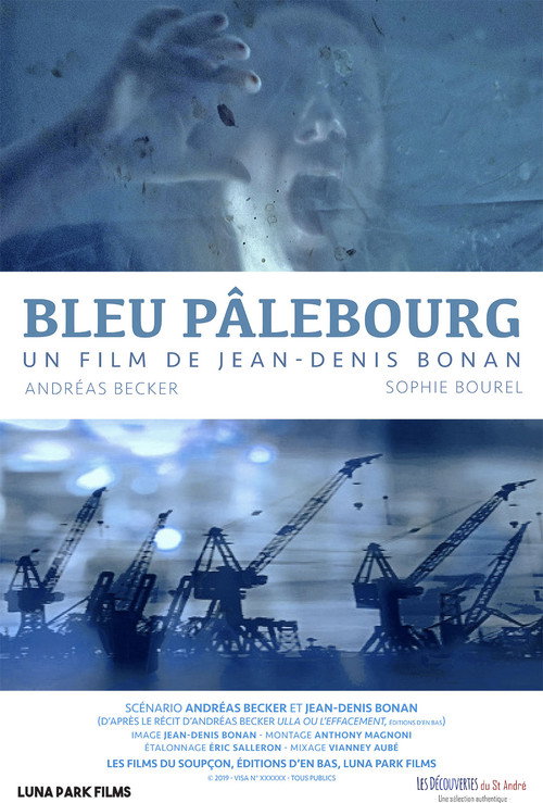 Movie poster for Bleu Pâlebourg (2019)
